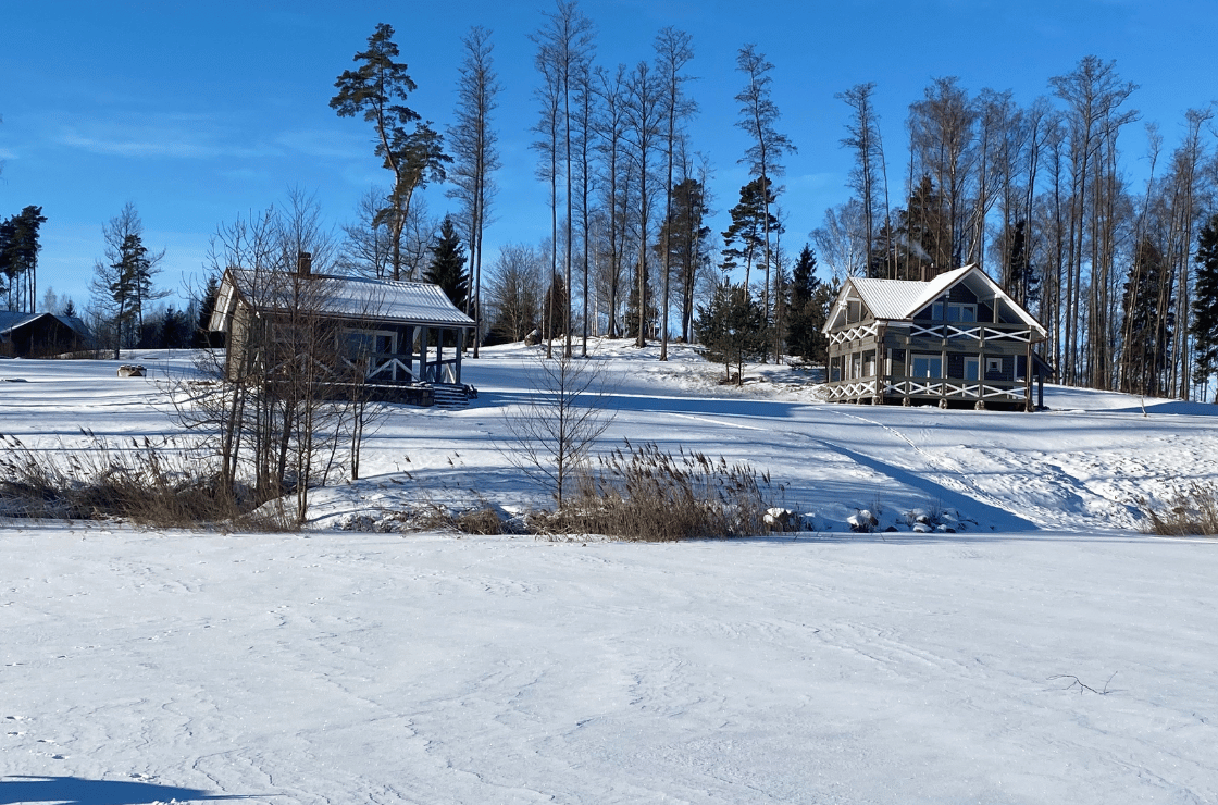 untitled design (100)