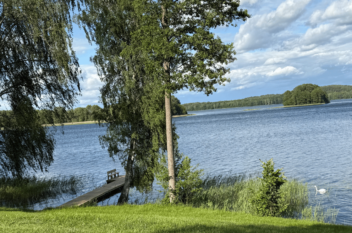 untitled design 2025 12 14t000754.683