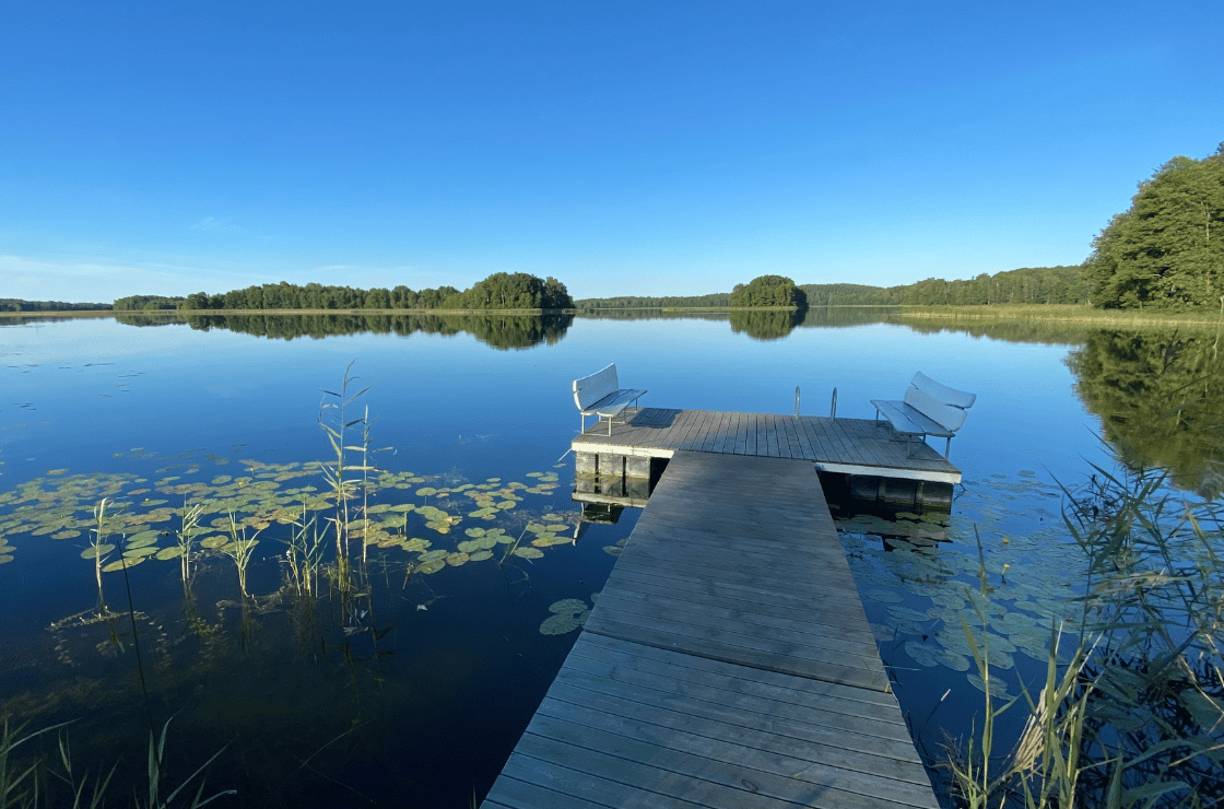 untitled design 2025 12 14t001550.982